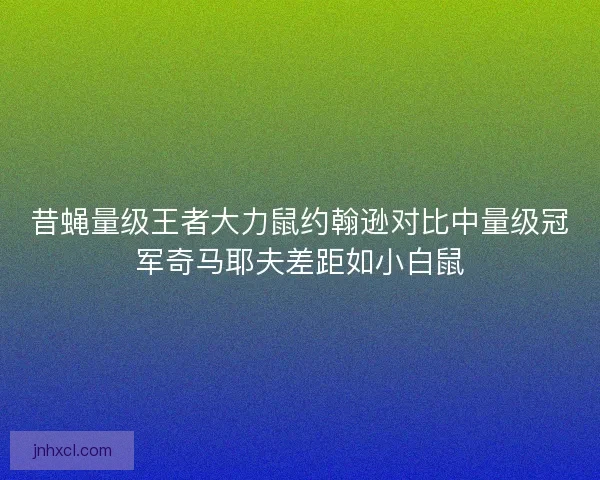 昔蝇量级王者大力鼠约翰逊对比中量级冠军奇马耶夫差距如小白鼠